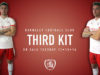 Barnsley Puma 2016-17 Third Kit