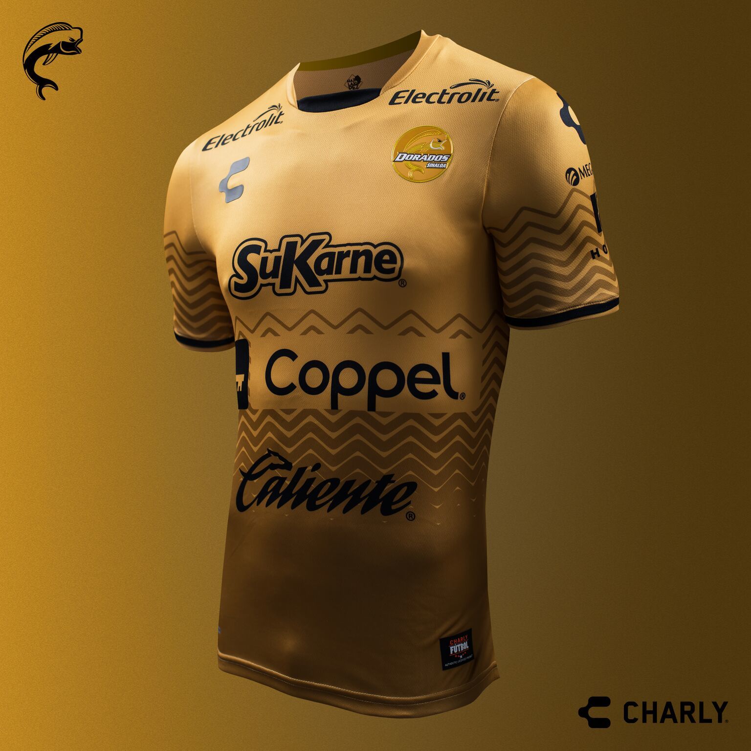 Camisetas Charly Futbol de Dorados 2016-17