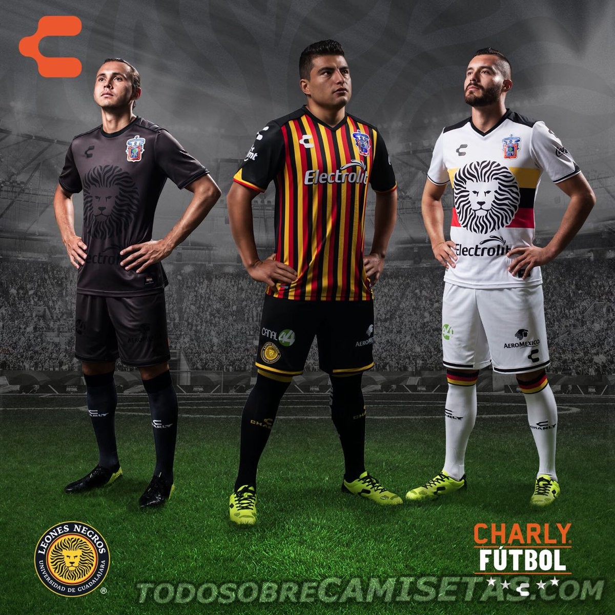 Camisetas Charly Futbol de Leones Negros 2016-17