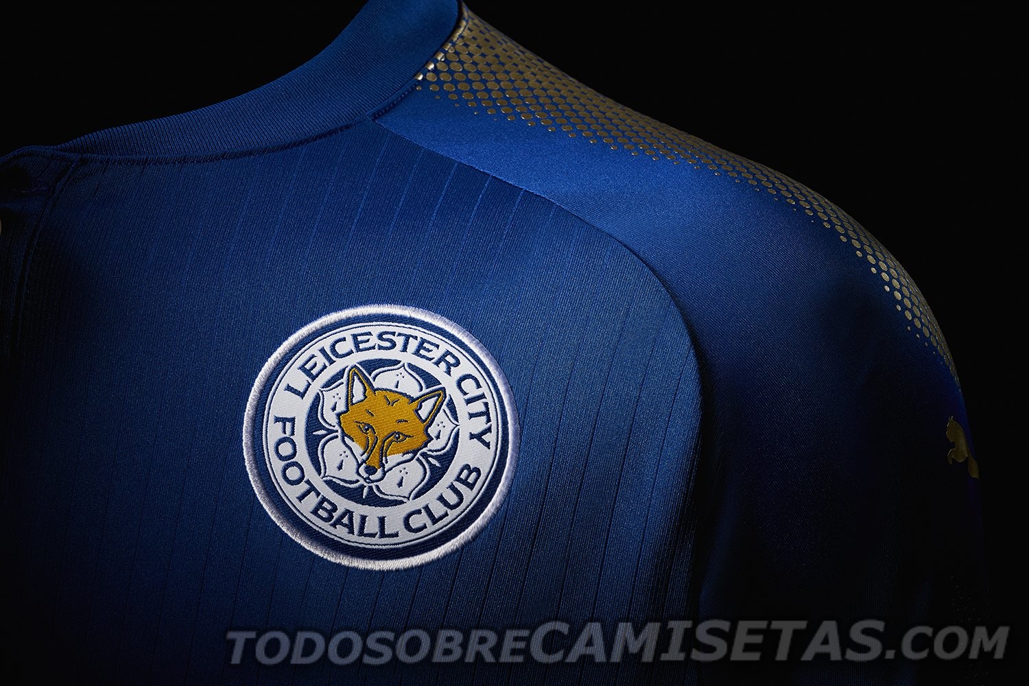 Leicester City FC Puma 2017-18 Home Kit