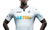 17SWANSEA10