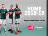 Plymouth Argyle 2018-19 Puma Home Kit