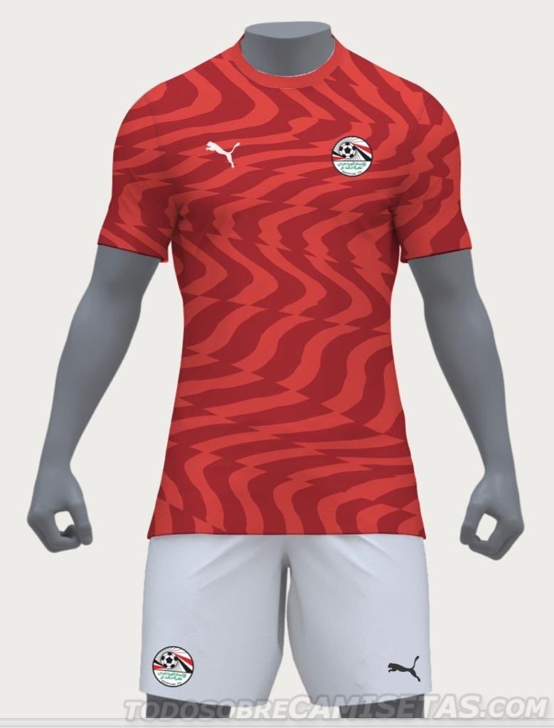 Egypt 2019 African Cup Puma Kits