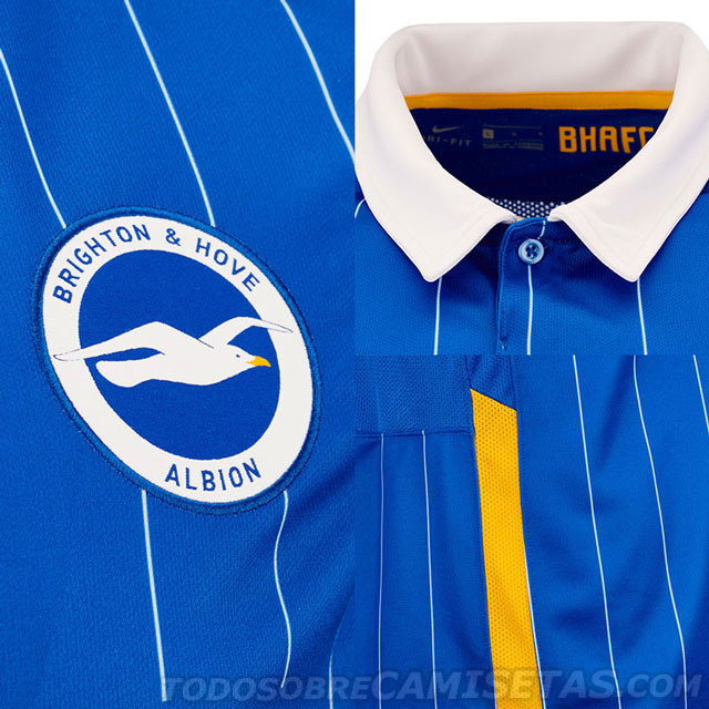 Brighton & Hove Albion 2020-21 Nike Home Kit
