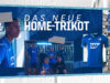 TSG 1899 Hoffenheim 2020-21 Joma Home Kit