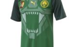 Cameroon Puma Home Kit 2018