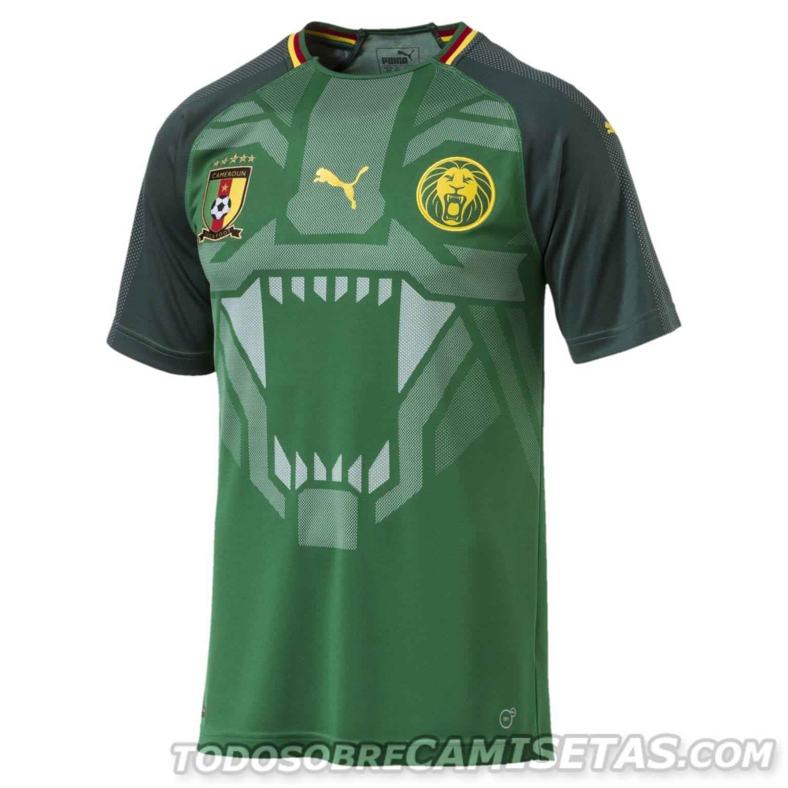 Cameroon Puma Home Kit 2018