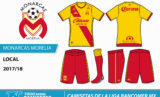 Display_ligamx