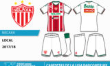 Display_ligamx