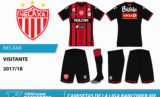 Display_ligamx