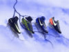 Botines Nike Dark Lightning Pack