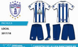 Display_ligamx