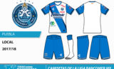 Display_ligamx