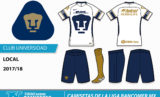 Display_ligamx