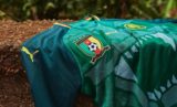 Cameroon Puma Home Kit 2018