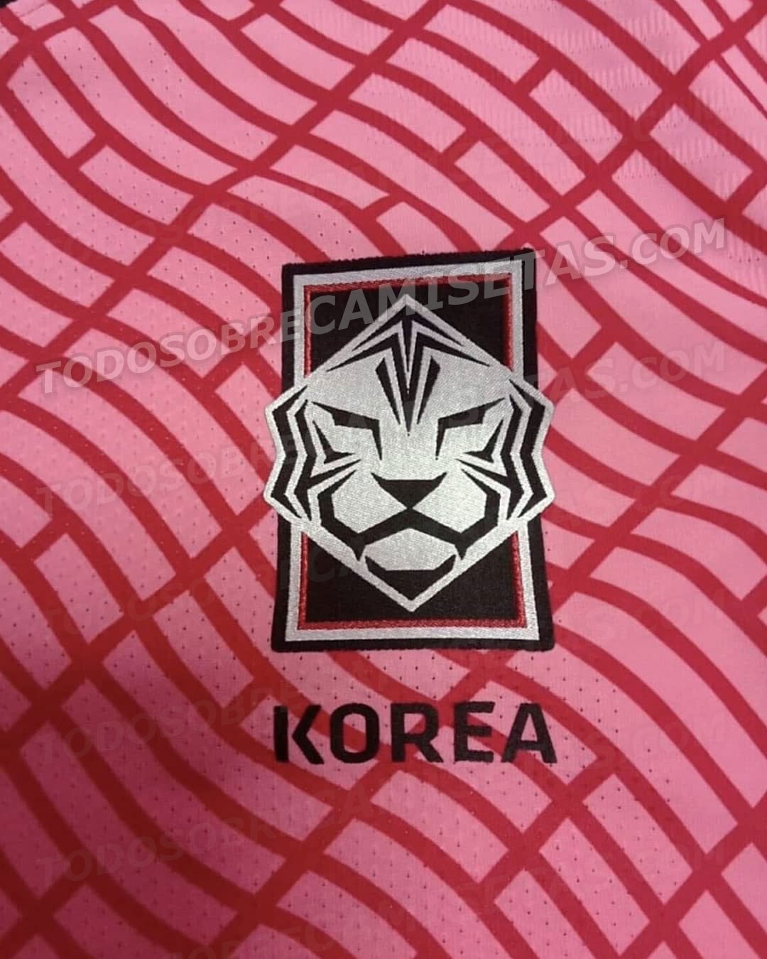 South Korea 2020 Home Kit