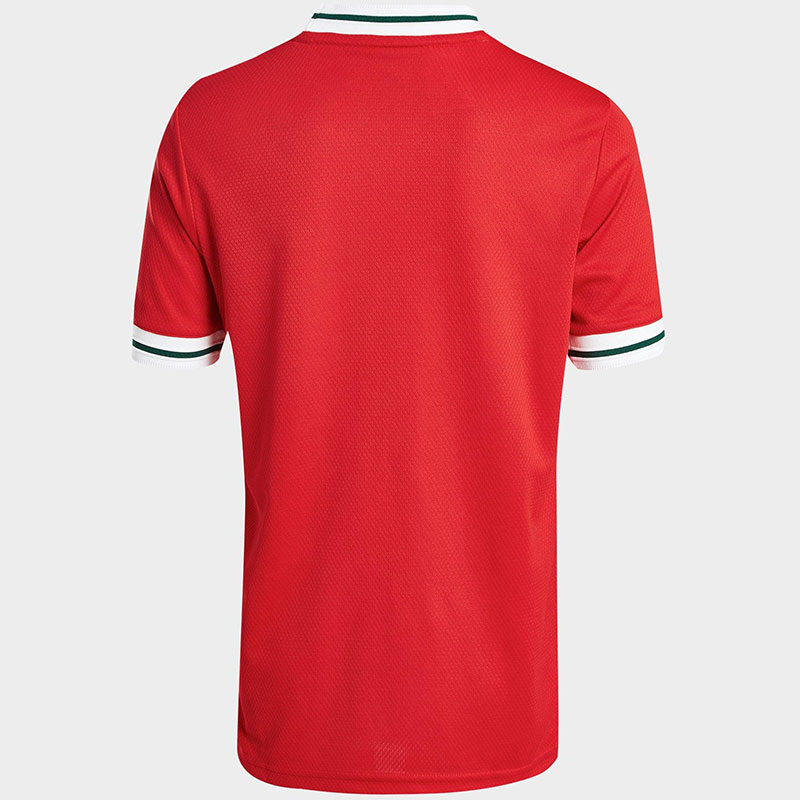 Camiseta adidas de Gales Femenina 2022